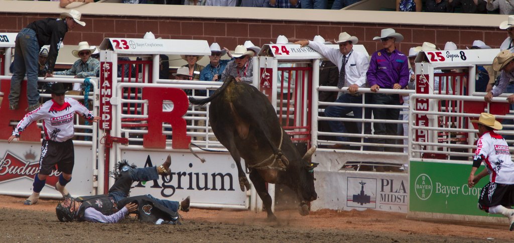 Calgary Stampede-2302.jpg